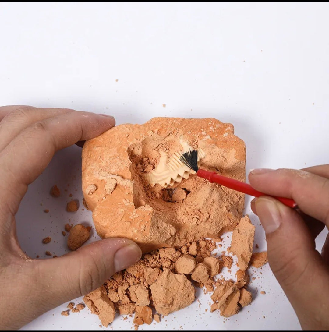 Kids archeology dig kit