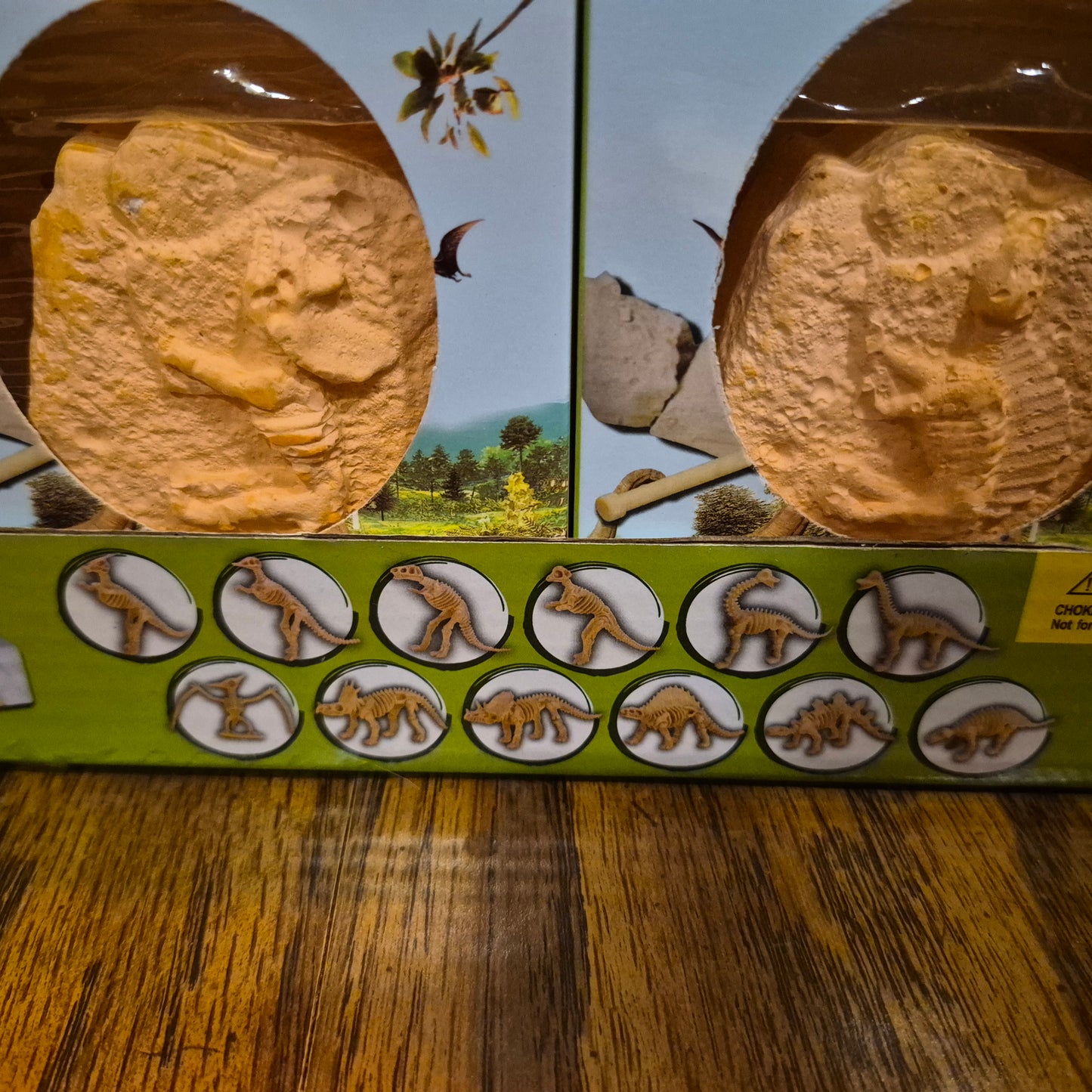 Dinosaur Excavation Kit