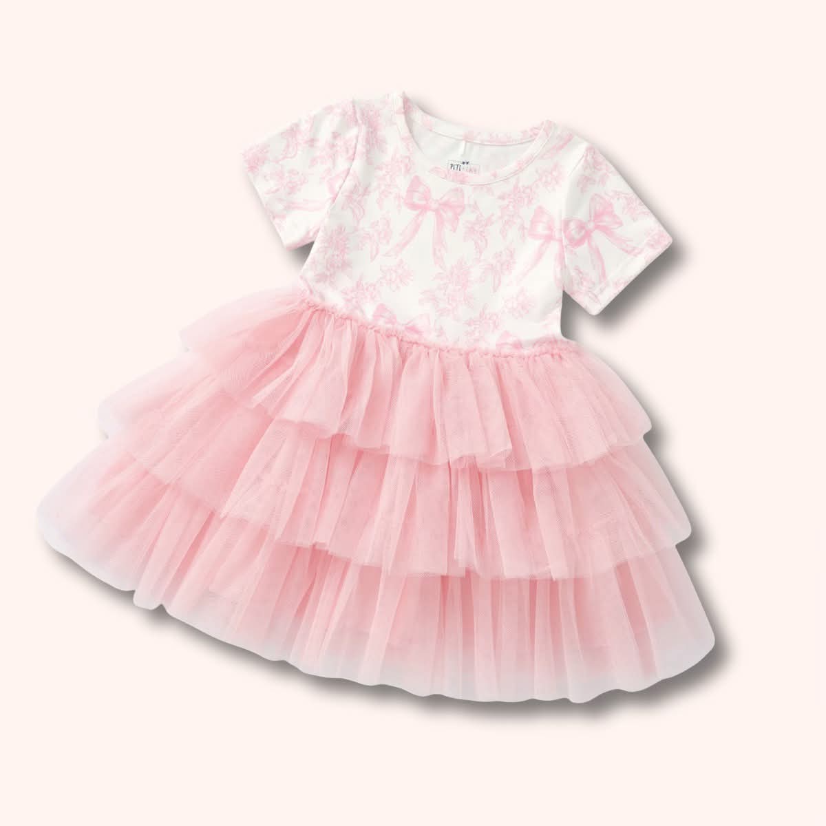 Vintage Fench Fairytale Tulle Dress