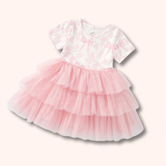 Vintage Fench Fairytale Tulle Dress