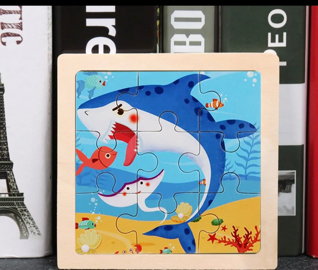 Wooden Puzzle Small 9 pieces