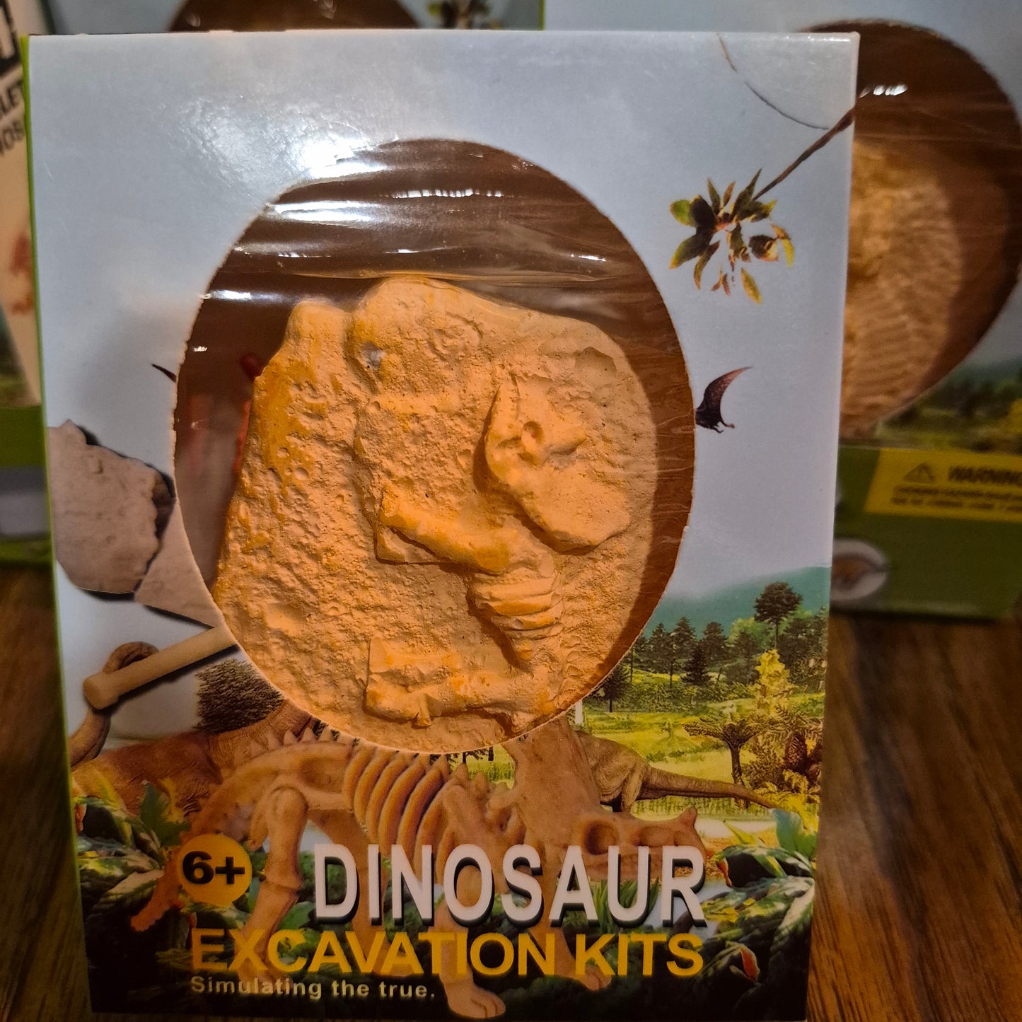 Dinosaur Excavation Kit